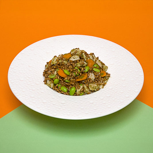 FEEL GOOD, FARRO POLLO AL PESTO E EDAMAME