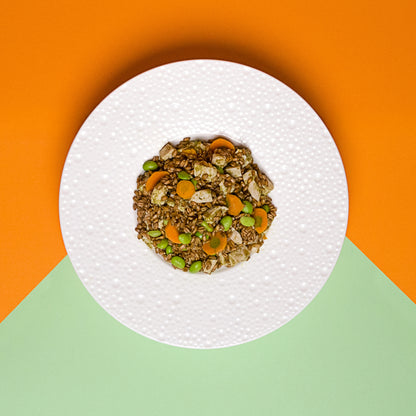 FEEL GOOD, FARRO POLLO AL PESTO E EDAMAME